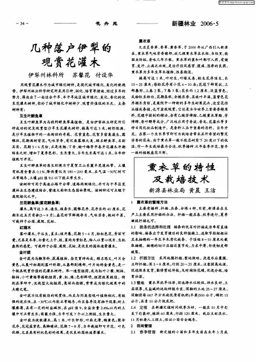 熏衣草的特性及栽培技术