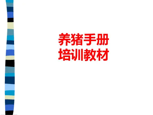 养猪技术培训PPT