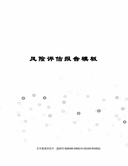 风险评估报告模板