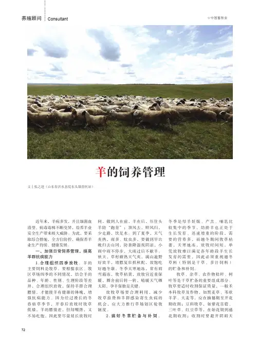 羊的饲养管理