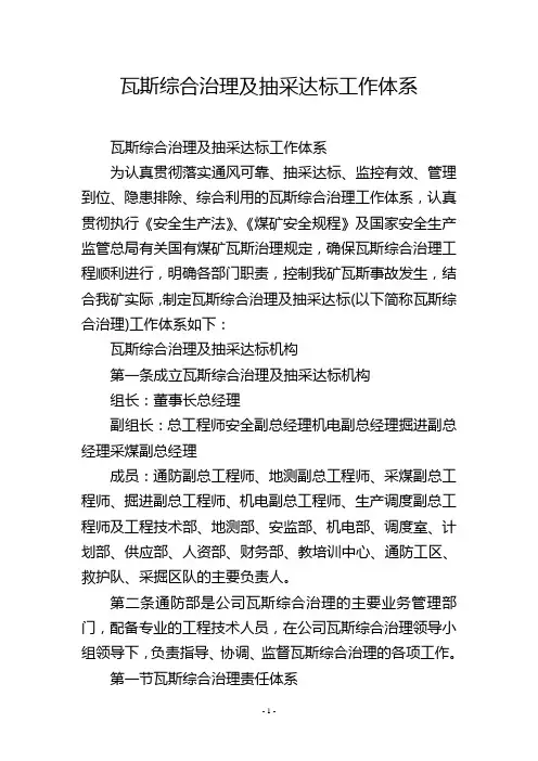 瓦斯综合治理及抽采达标工作体系