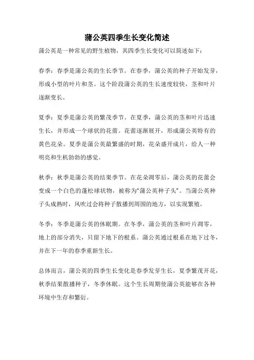 蒲公英四季生长变化简述