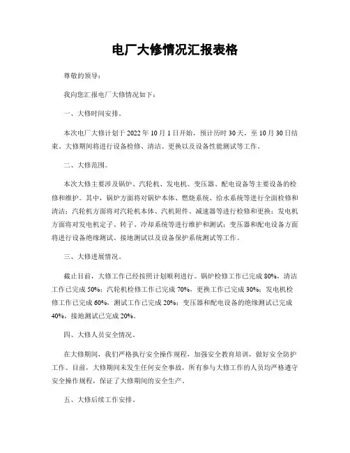 电厂大修情况汇报表格