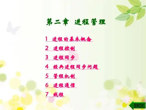 进程管理 PPT课件