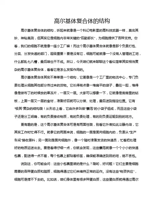 高尔基体复合体的结构