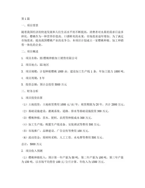 樱桃创业计划书财务分析(3篇)