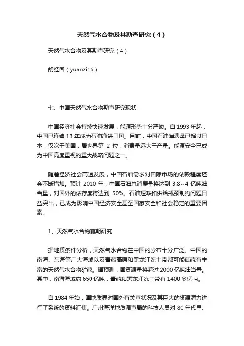 天然气水合物及其勘查研究（4）