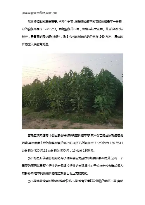 8公分楸树价格多少钱一棵