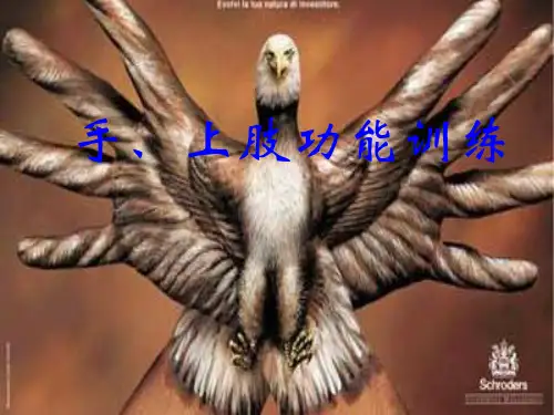 手上肢功能训练 ppt课件