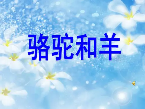 骆驼和羊课件
