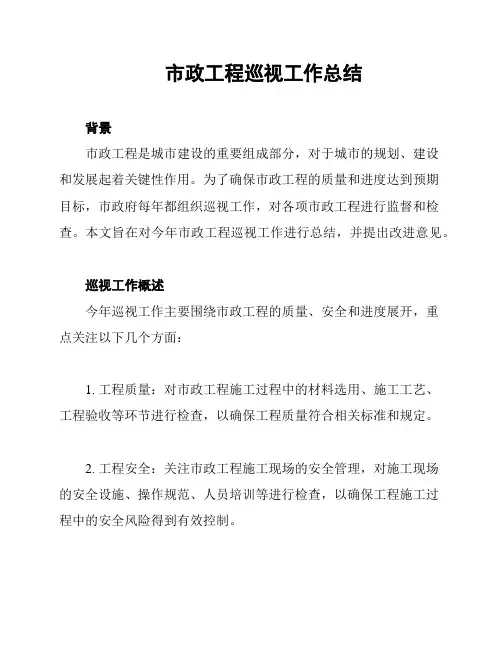 市政工程巡视工作总结