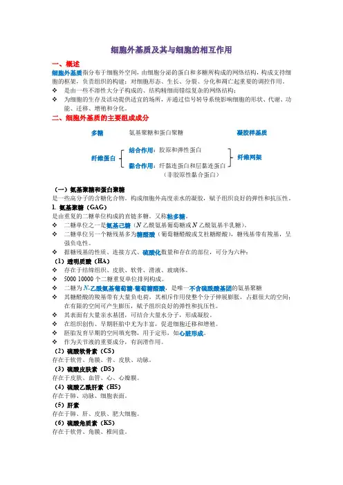细胞外基质及其与细胞的相互作用