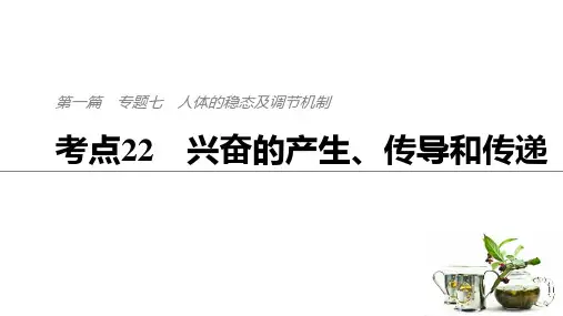 2018届 二轮复习 兴奋的产生、传导和传递 课件(全国通用)