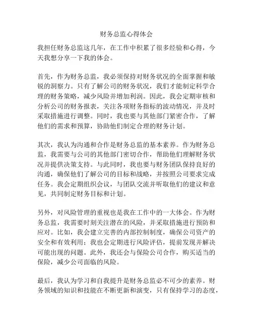 财务总监心得体会