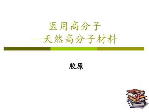 天然高分子材料--胶原