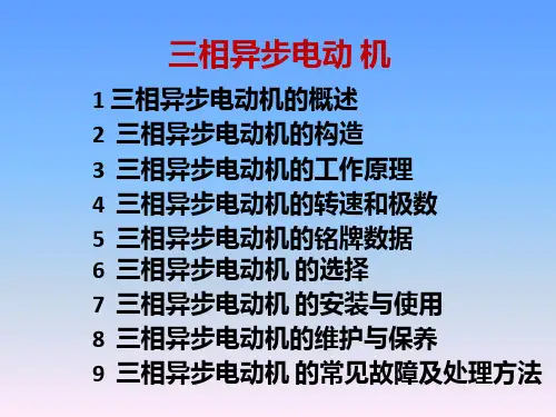 三相异步电动机课件