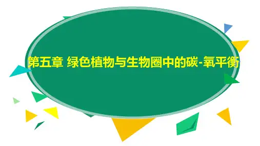 3.5.1光合作用吸收二氧化碳释放氧气-七年级生物上册优质教学课件(人教版)