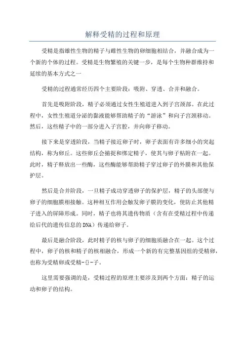 解释受精的过程和原理