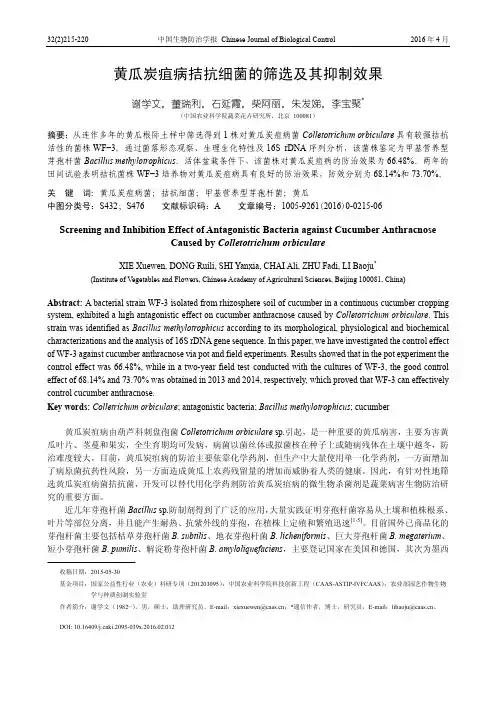 2016中国生物防治学报-黄瓜炭疽病拮抗细菌的筛选及其抑制效果