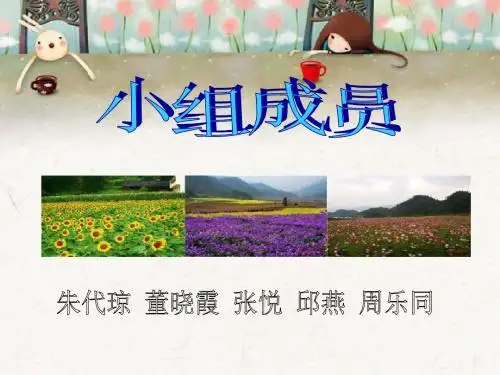 大木旅游策划PPT模板