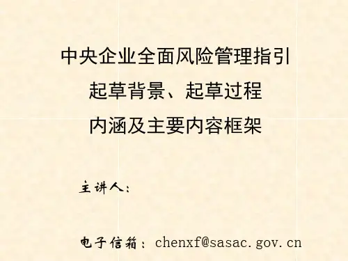 央企全面风险管理培训——01 指引背景和过程(陈晓飞)