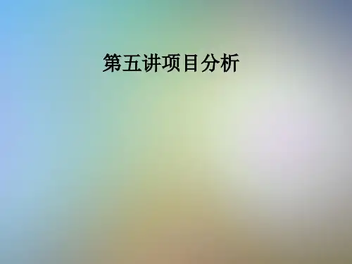 第五讲项目分析