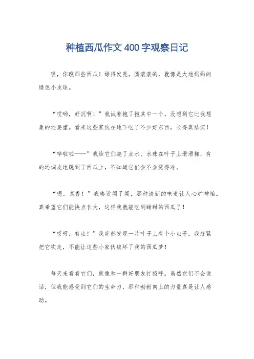种植西瓜作文400字观察日记