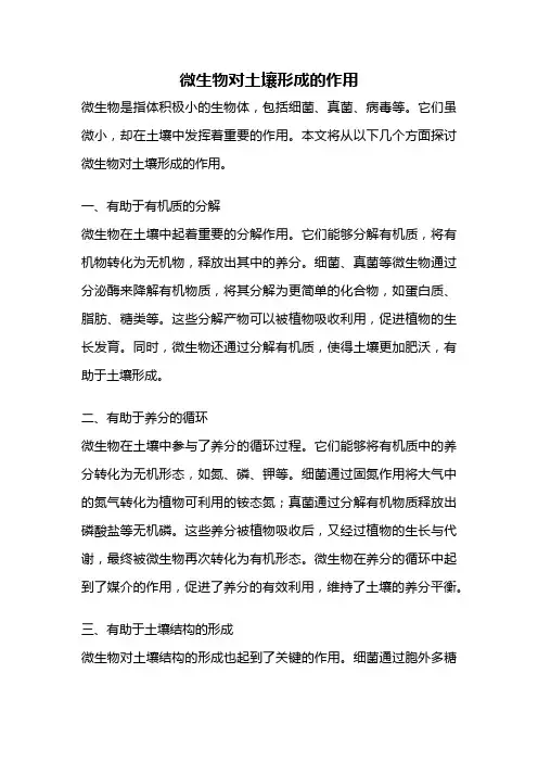 微生物对土壤形成的作用