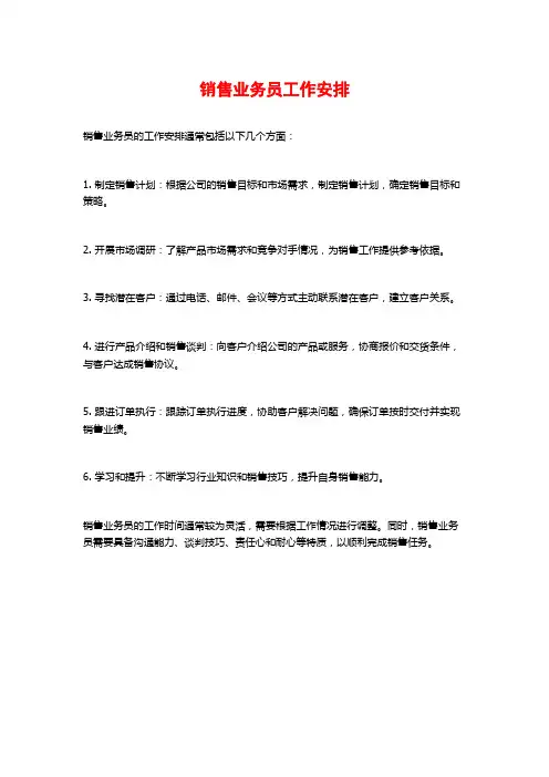 销售业务员工作安排