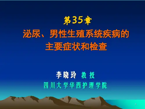 泌尿男性生殖系统疾病的主要症状和检查