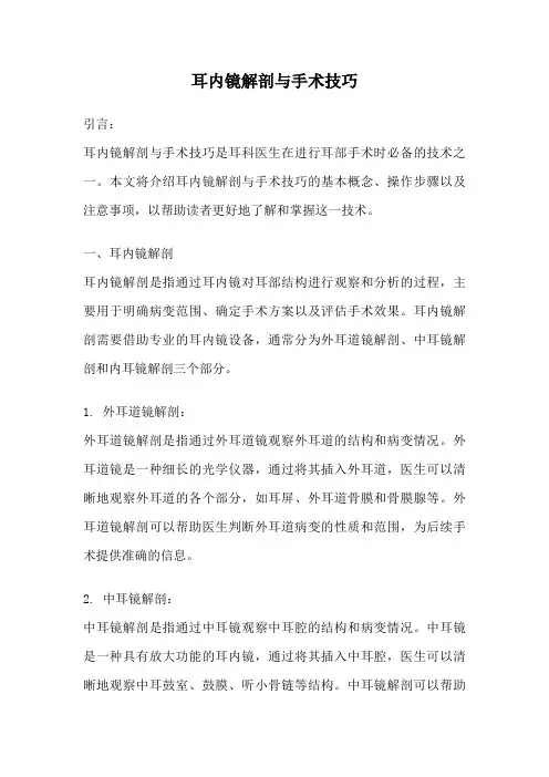耳内镜解剖与手术技巧