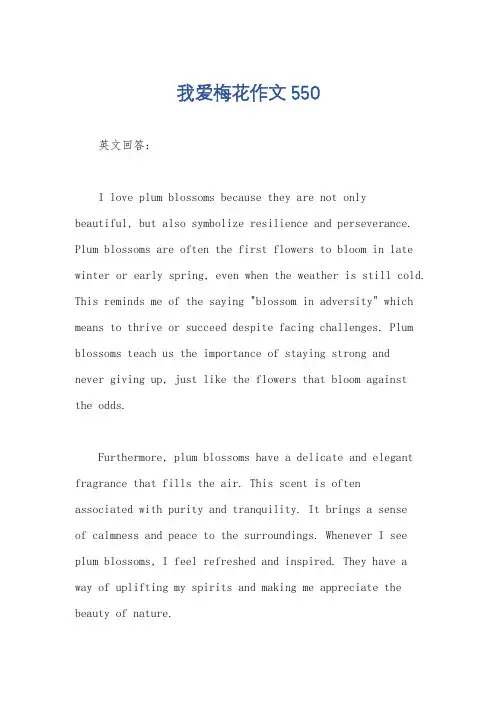 我爱梅花作文550