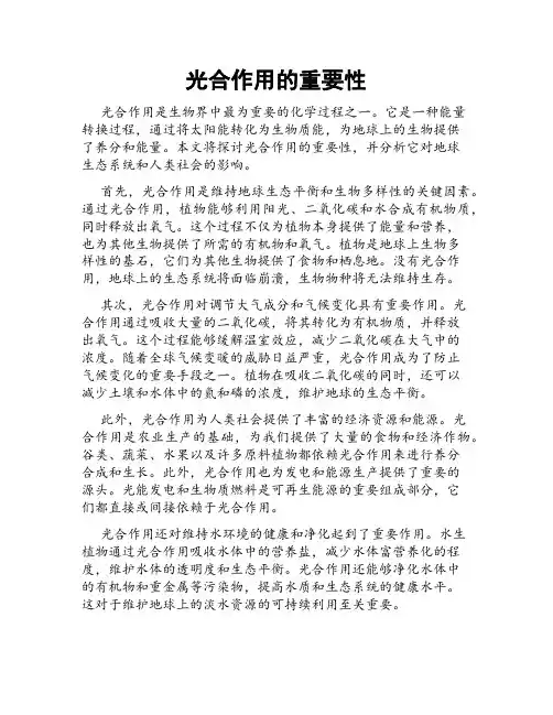 光合作用的重要性
