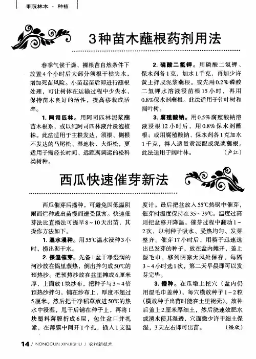 西瓜快速催芽新法
