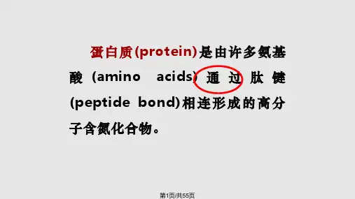 生物化学蛋白质的结构与功能PPT课件