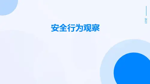 安全行为观察