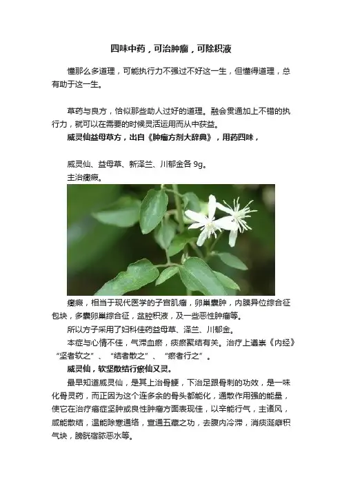四味中药，可治肿瘤，可除积液