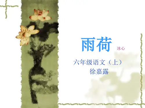 雨荷