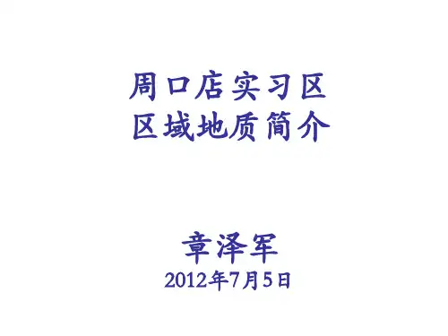 实习区地质简介