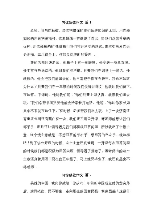致敬..的作文600字