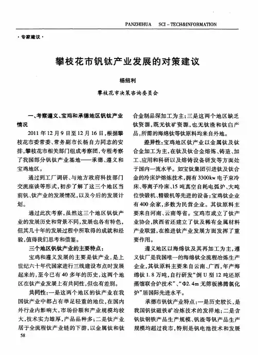 攀枝花市钒钛产业发展的对策建议
