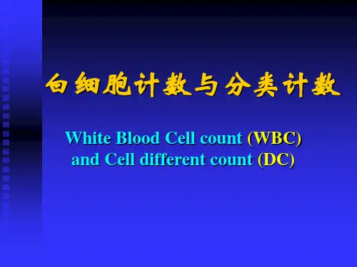 白细胞计数与分类计数
