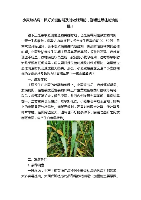 小麦纹枯病：抓好关键时期及时做好预防，别错过最佳防治时机！