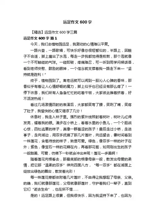 【精选】远足作文600字三篇