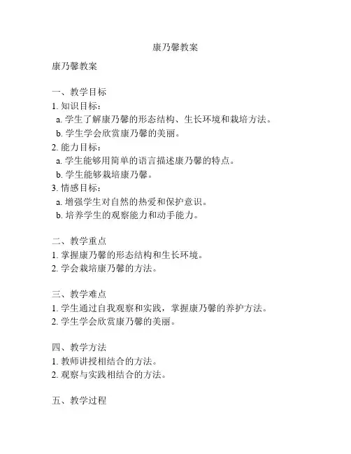 康乃馨教案