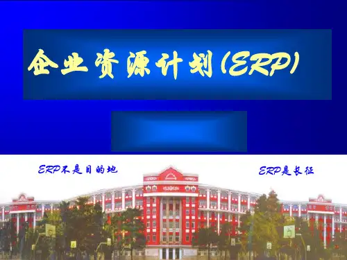企业资源计划(ERP)PPT课件