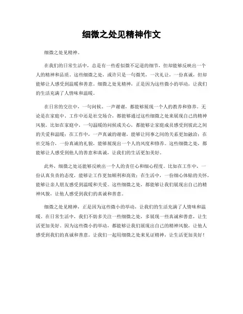 细微之处见精神作文