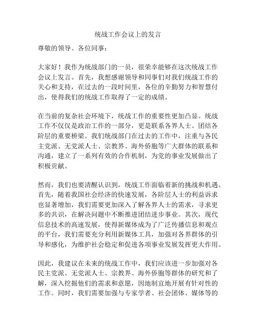 统战工作会议上的发言