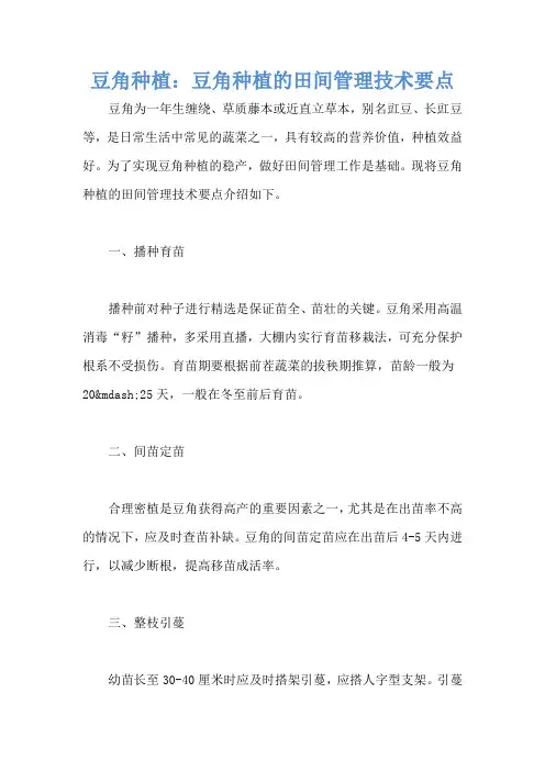 豆角种植：豆角种植的田间管理技术要点