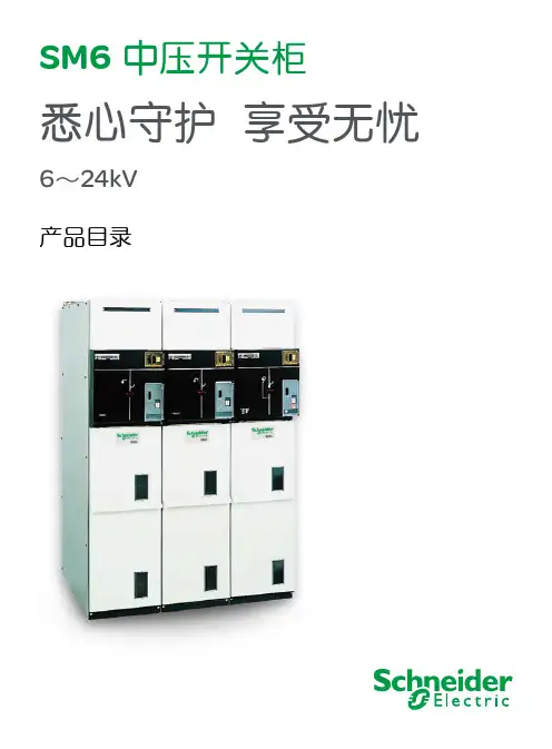 施耐德环网柜